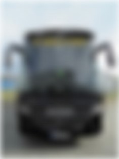 bus predek
