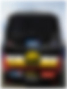 bus zadek