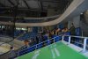 Ropáci v Drážďanech 23.8.2014